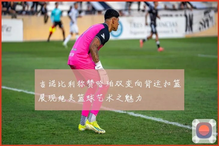 吉诺比利称赞哈珀双变向背运扣篮展现绝美篮球艺术之魅力